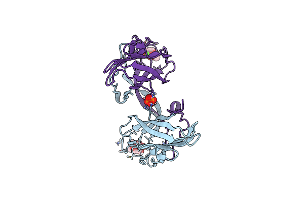 6YF6 image