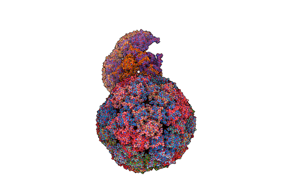 6YF7 image