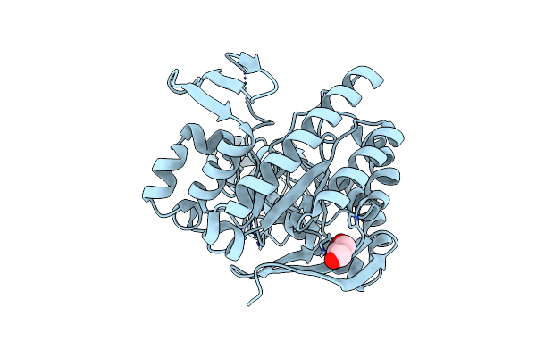 6YFX image