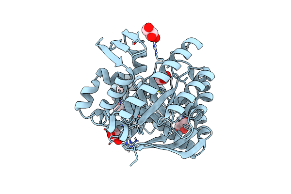 6YGV image