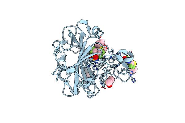 6YHA image