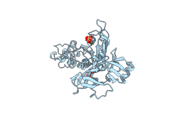 6YIR image