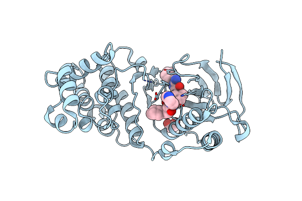 6YJC image