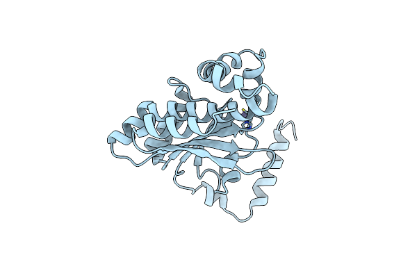 6YJN image
