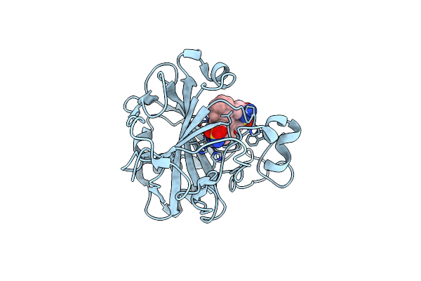 6YKC image