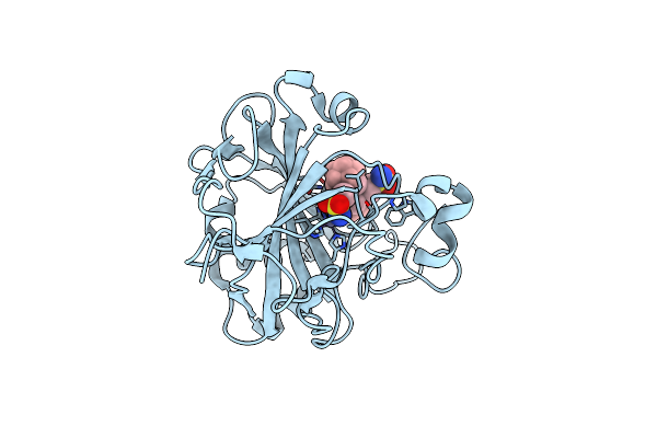 6YKH image