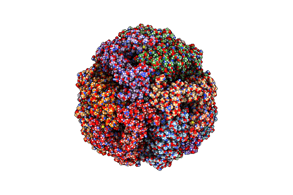 6YL3 image