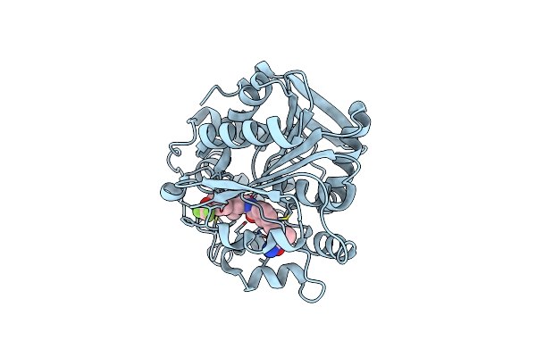 6YL4 image
