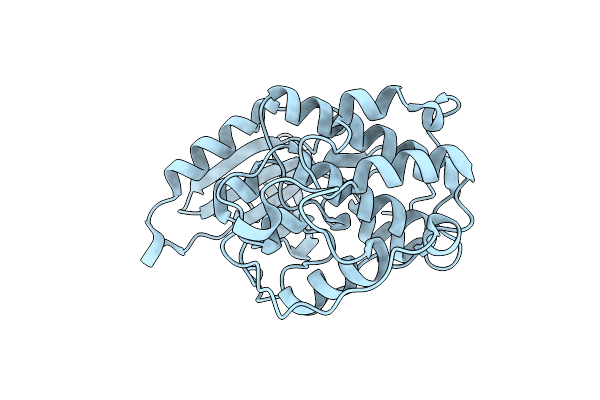 6YL6 image