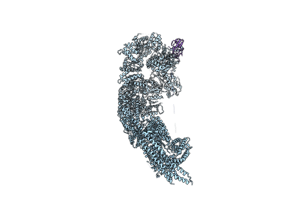 6YLF image