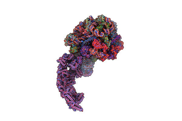 6YLH image