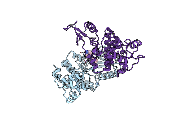 6YLL image