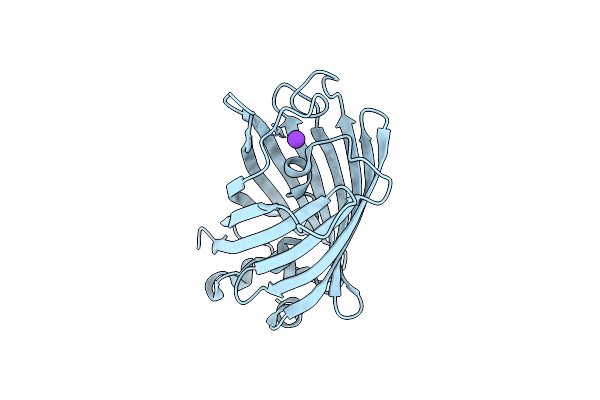 6YLN image