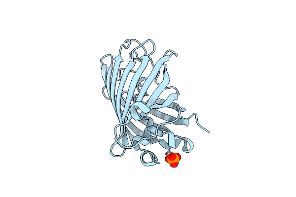 6YLP image
