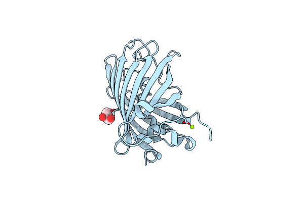 6YLQ image