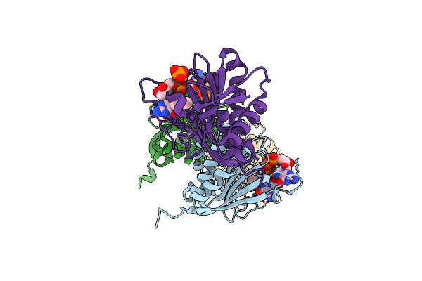 6YLT image