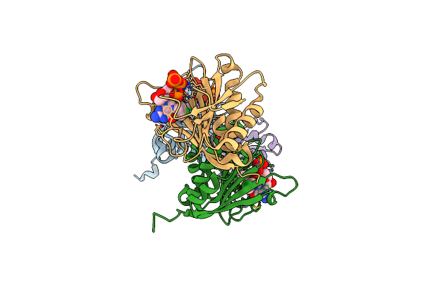6YLV image