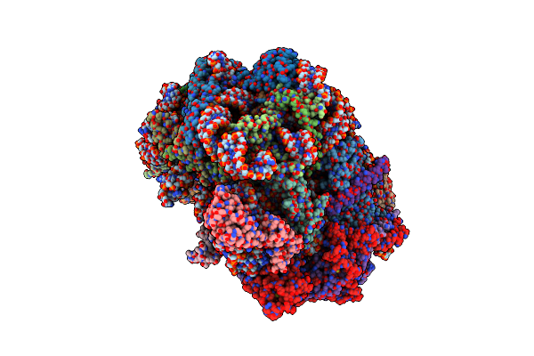 6YLX image