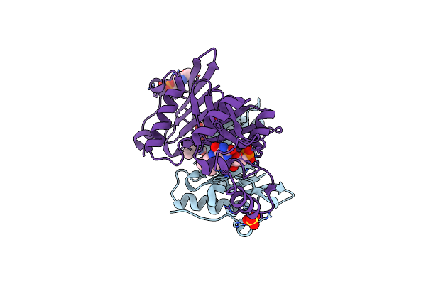 6YMH image