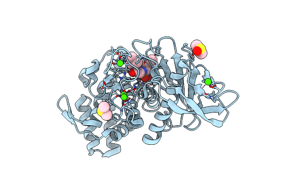 6YMR image