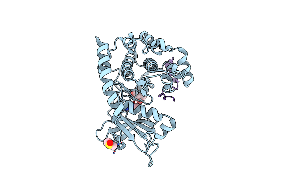 6YNR image