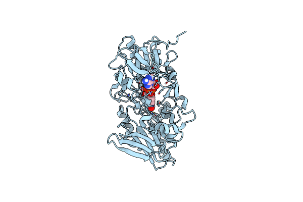 6YNV image