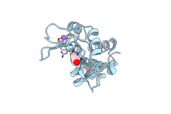 6YOC image