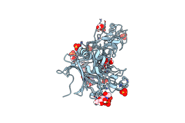 6YP1 image
