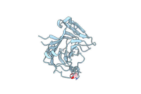 6YP6 image