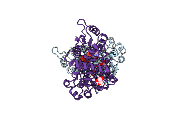 6YPO image