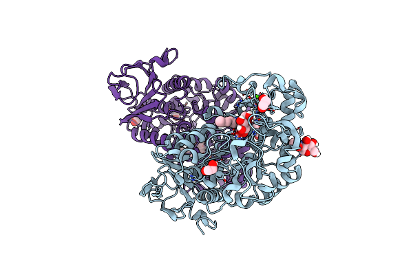 6YQA image