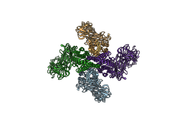 6YRF image