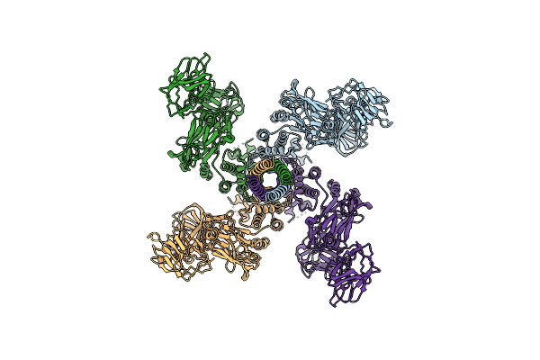6YRG image