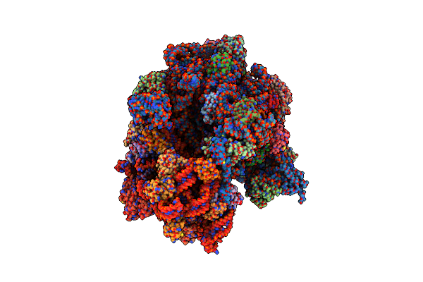 6YSS image