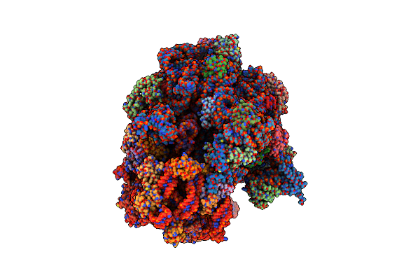 6YST image