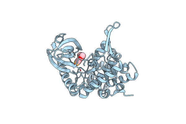 6YTE image
