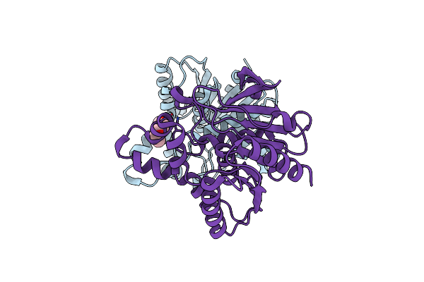 6YUV image