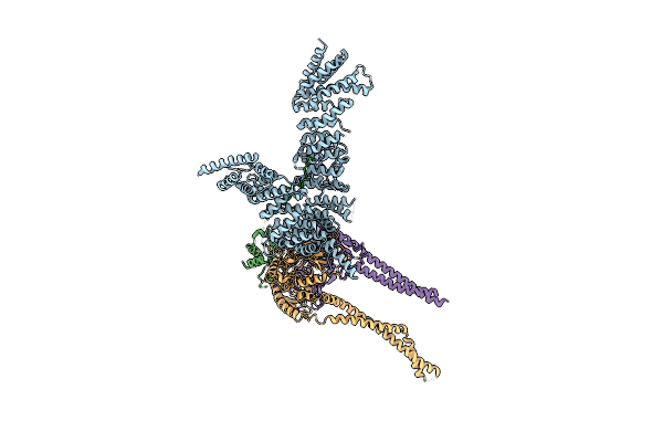 6YVD image