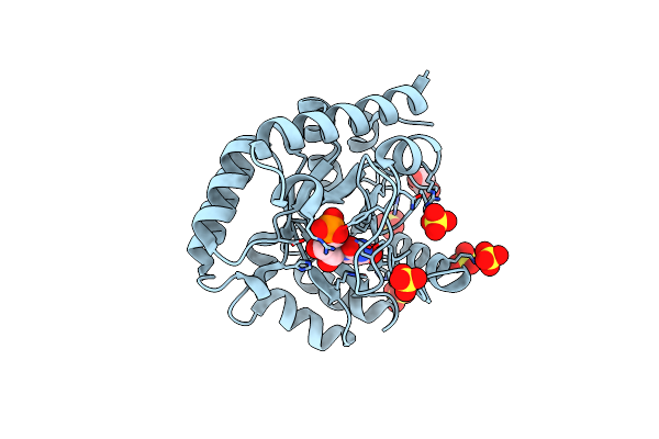 6YVM image