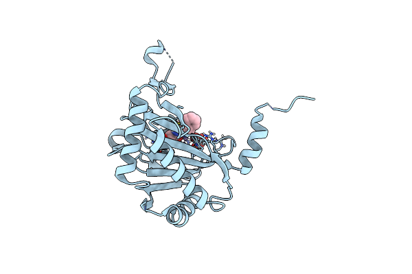 6YVX image