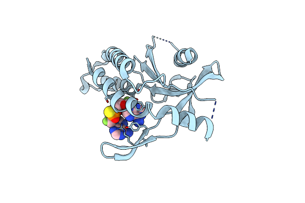 6YWB image