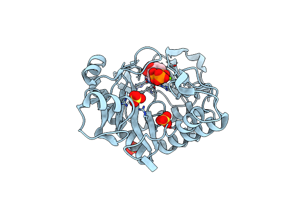 6YX3 image