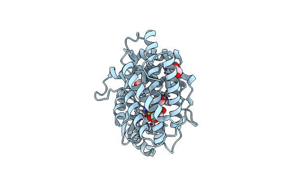 6YXT image