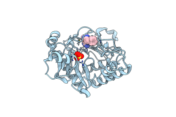 6YYB image