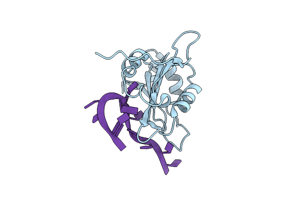 6YYM image