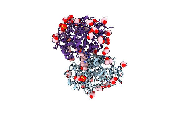 6YYO image