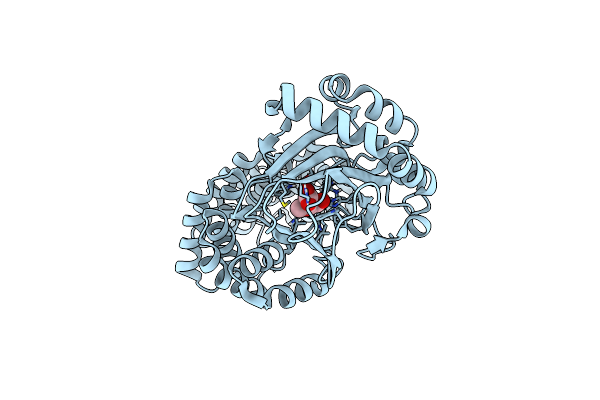 6YYV image