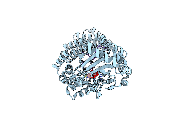 6YYX image