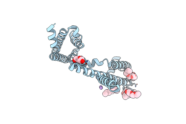 6YZ2 image