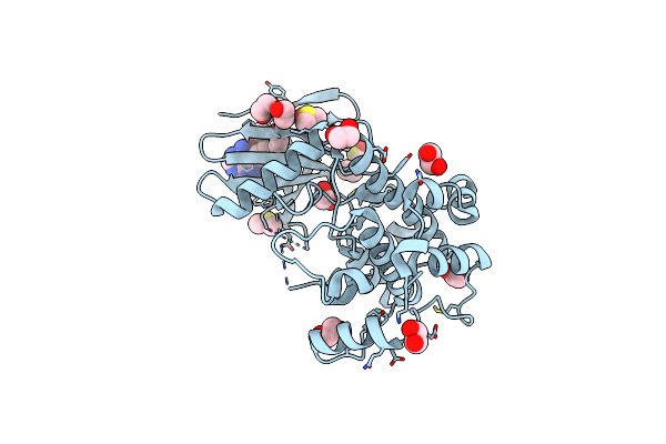 6YZ4 image